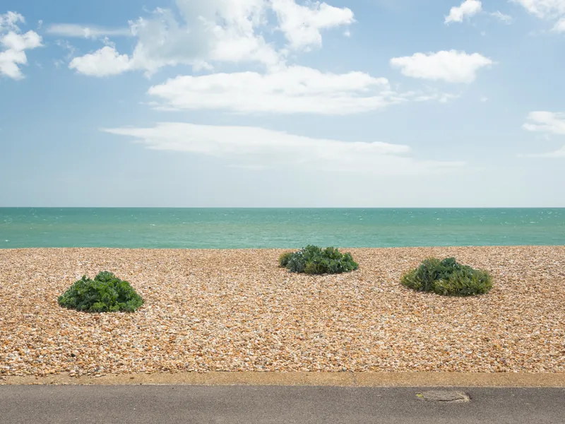 Backdrop, Aldwick Bay. 2024.